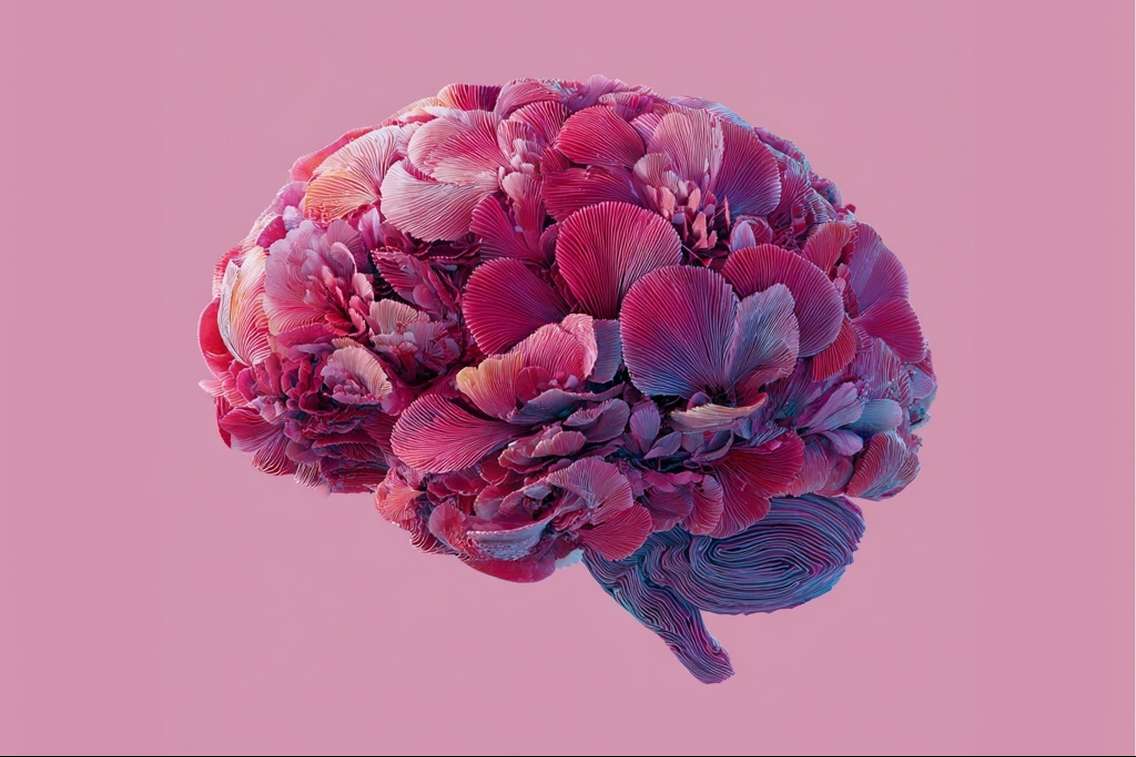 intelligence émotionnelle